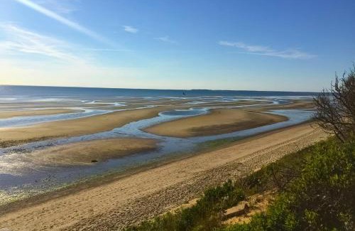North Eastham House | The Gould Cape House