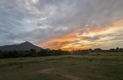Tiruvannamalai Apartment | The Green House