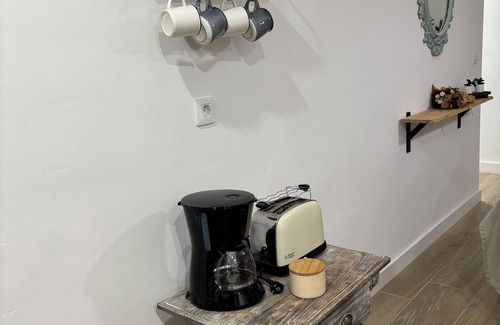 Jaen Apartment | The green olive tree