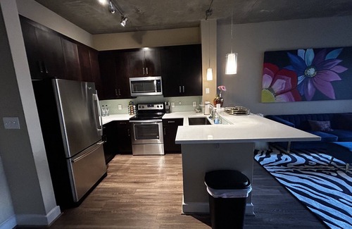 Charlotte Center City Apartment | The Hidden Jewel, Modern Chic Studio in Uptown Charlotte