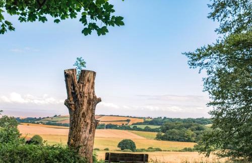Fiddington House | The Hideaway