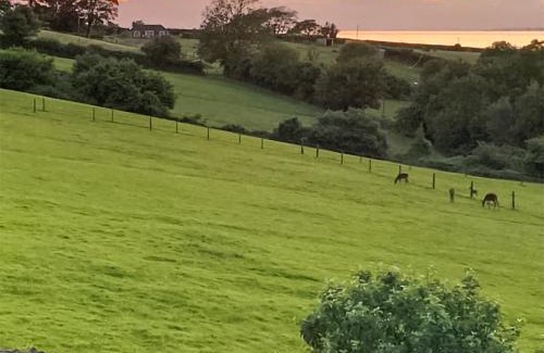 Fiddington House | The Hideaway