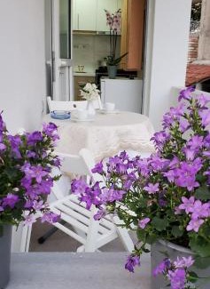 Kodrra Hotel | The Hill Apartment