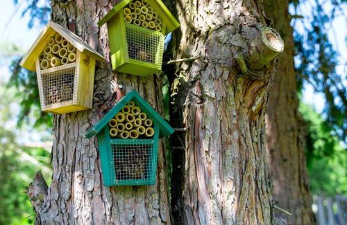 Loon op Zand Bed & Breakfast | The Holidayhouse