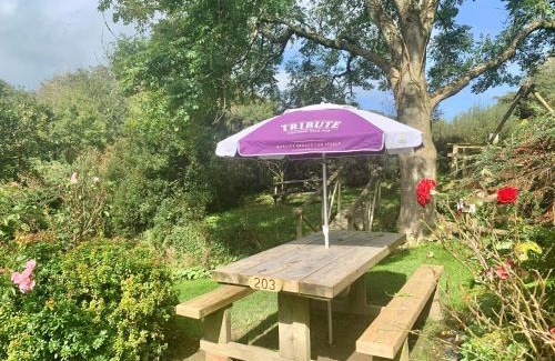 Bideford Hotel | The Hoops Inn & Country Hotel