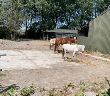 Garnwerd Bed & Breakfast | The Horse Farm