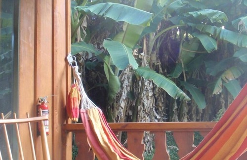 Tikitere Cabin | The ideal Place to Relax, unwind and re-charge
