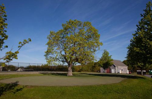Cherry Valley House | The Jackrabbit - 3 Summer Village
