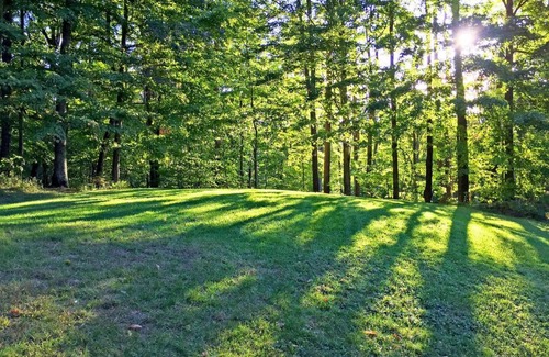 Killington House | The Killington Cabin by Killington Vacation Rentals