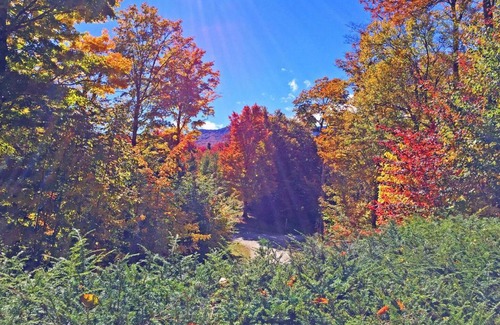 Killington House | The Killington Cabin by Killington Vacation Rentals
