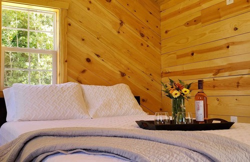 South Haven Cabin | The little Blue Cottage on Forest Lake