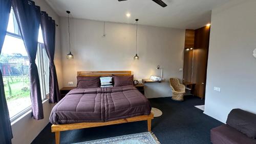 Suja Hotel | The Lumi