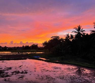 Ubud Villa | The LUXE Ubud - a Boutique Hotel