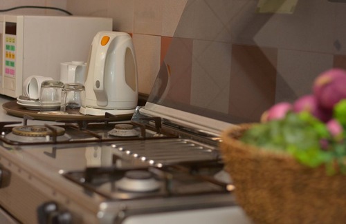 Golden Triangle Apartment | The Maple Suite