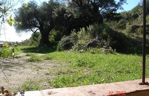 Bandol Villa | The Mas Sainte Trinide, quiet and beautiful scenery