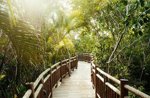 Villa Juarez Hotel | The Mayan Palace Master Room - Riviera Maya