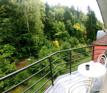 Jachymov Apartment | The Mountain Loft Klinovec - with infrasauna