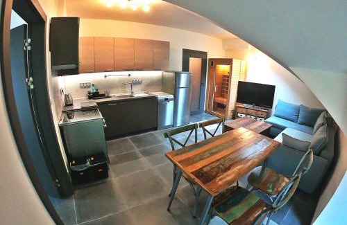 Jachymov Apartment | The Mountain Loft Klinovec - with infrasauna