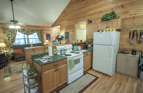 Hayesville Cabin | The Nest Nice 2 bedroom 1 bath cabin with Internet, near Hayesville NC