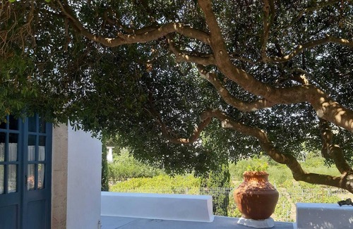 Lakkion Other | The Old Farmhouse. A wonderful traditional Greek family farmhouse in Leros