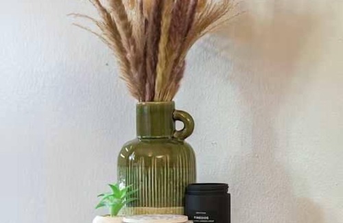 Allandale Apartment | The Olive | Cozy Retreat | Sleeps 5