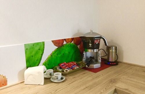Palese Apartment | The open red tulip