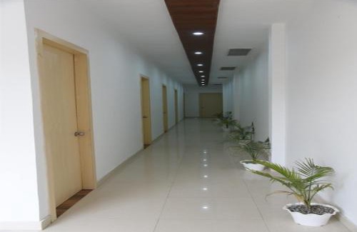 Amritsar Bed & Breakfast | The Palm Tree -Family Stay