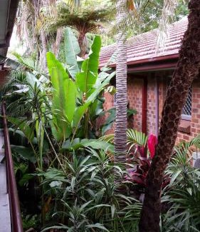 Wollongong CBD Hotel | The Palms Motel- Formerly Flinders Motel