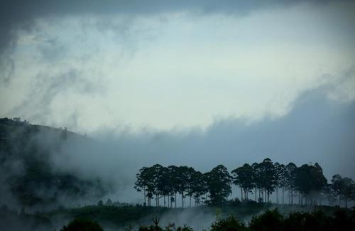 Kodaikanal House | The Pear County