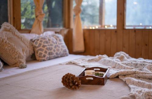 Khoksar House | The Picturesque Treehouse
