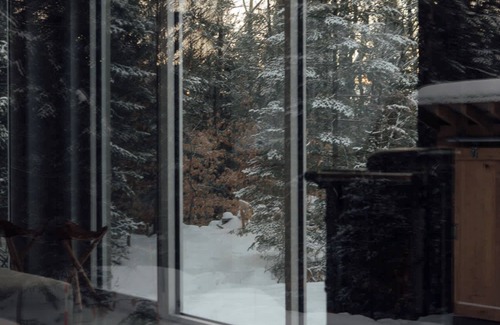 Chertsey Ski Chalet | The Pioneer Summary:
