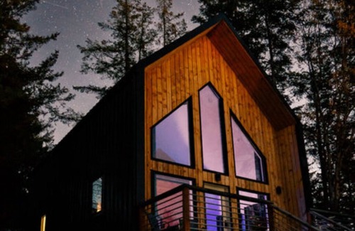 Homer Cabin | The Point Cabin + Nordic Spa w/Sauna, Hot Tub & Cold Plunge