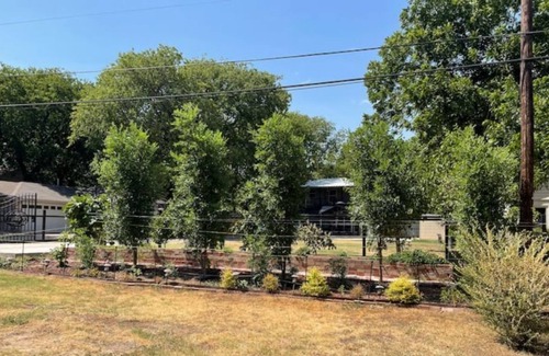 Fort Worth House | The Poppy Hideaway - 5 min walk to Lake Worth!