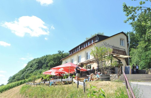 Mainz-Bingen Apartment | The Rebenhaus - with a sensational view of the Rhine Valley. Apartment for 2