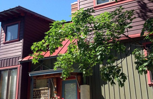 North Downtown House | The Recycled House - Walk Downtown