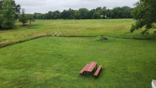 Texico Other | The Rest Mobile