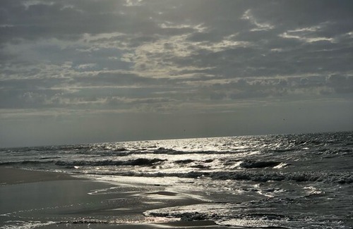 Fort Morgan House | THE ROOKERY in Gulf Shores