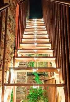 Pushkar Bed & Breakfast | the secret garden