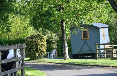 Llangynin Apartment | The Shepherds Hut
