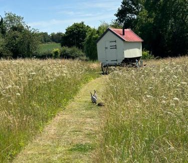 Hindringham Other | The Shepherds Hut