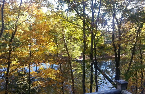 Lake George House | The solitude of the woods with civilization only 2 blocks away!