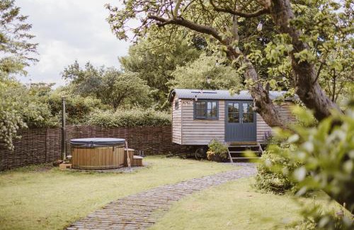 Winestead Other | The Starlight Hideaway