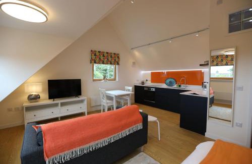 Llanfaelog House | The Studio Ty Haul
