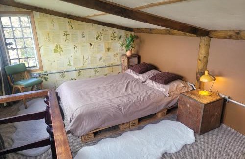 Llandegla Cabin | The Summerhouse