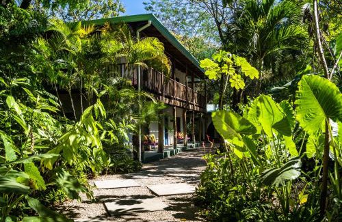 Playa Guiones Hotel | The Sunset Shack