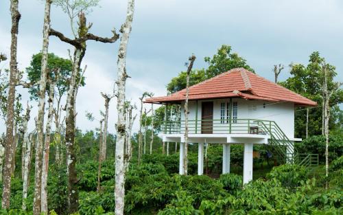 Krishnagiri Bed & Breakfast | THE SUVISTARA WAYANAD KERALA