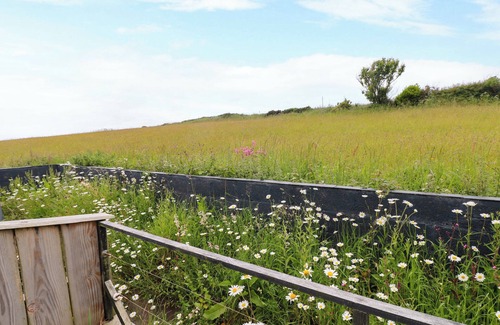 St Brides Cottage | THE TINY HOUSE, pet friendly, country holiday cottage in Solva