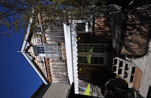 Bedford Park House | The Tree House ~ Lower Level