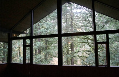 North Bend Cabin | The Treehouse; cabin in the woods, close to town!