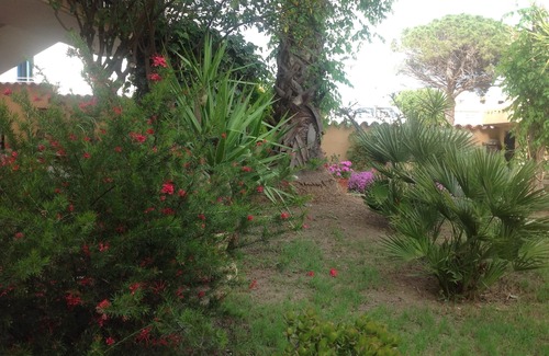 Siniscola House | The two palms from Angelo the cove n2